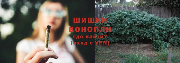 PSILOCYBIN Пересвет