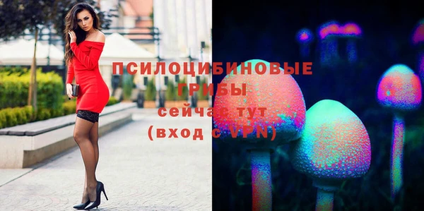 гидра Пестово