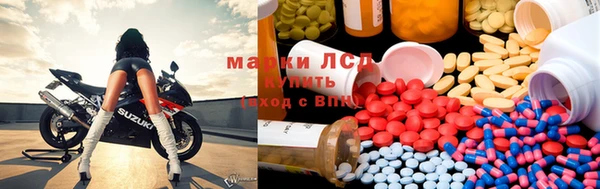 PSILOCYBIN Пересвет