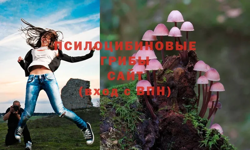 Псилоцибиновые грибы Psilocybine cubensis Бабушкин